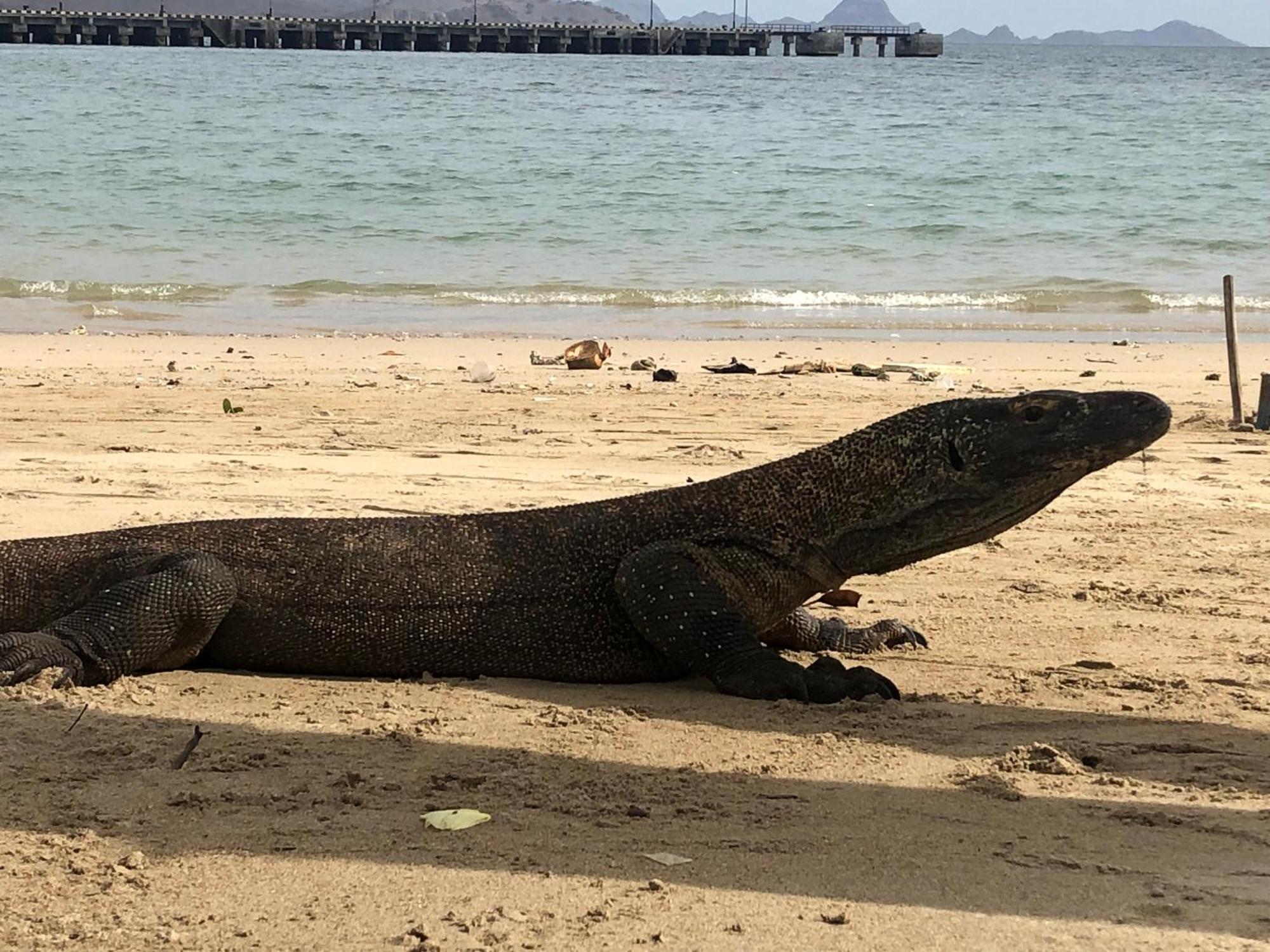Dua Putri Komodo Homestay Exteriér fotografie