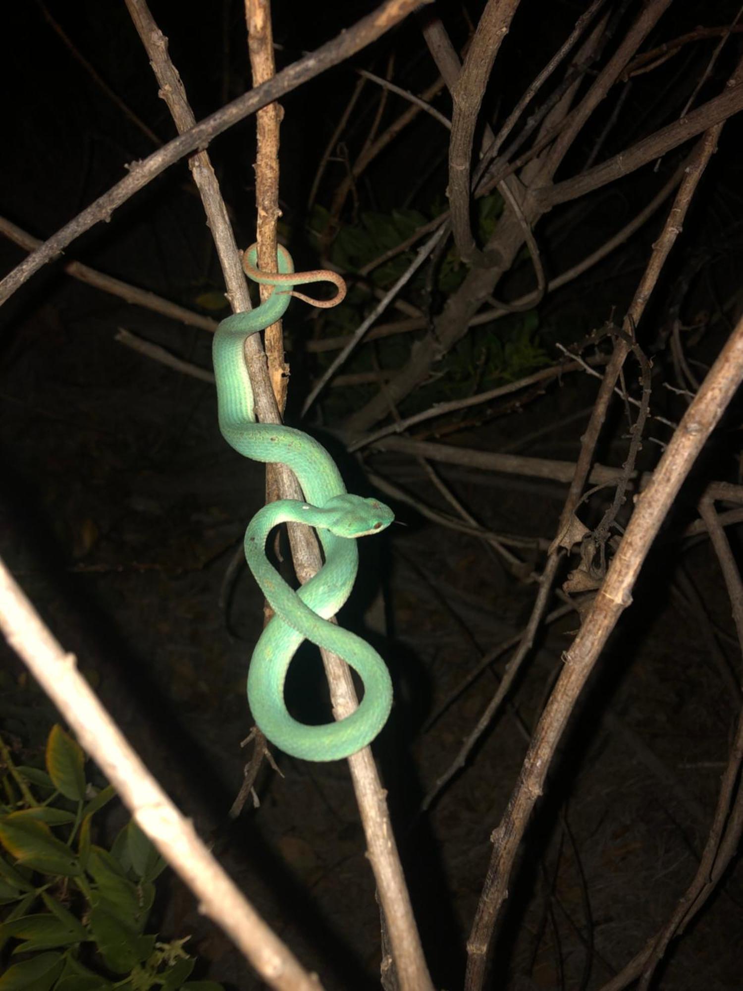 Dua Putri Komodo Homestay Exteriér fotografie